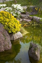 Japanese gardens in Larvotto