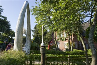 Whale bones at the Friesenmuseum
