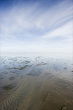 Wadden Sea near Wyk