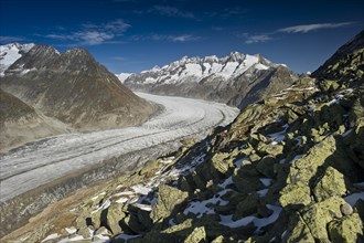 Aletsch Glacier and the Bernese Oberland