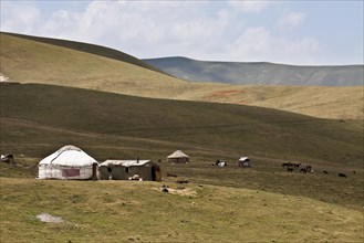 Yurts near Gulcho