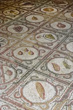 Antique mosaics