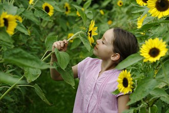 Girl in a sunflower field