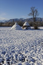 Haystacks in winter in the Murnauer Moos