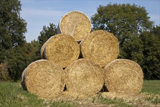 Bales of straw stacked on a field