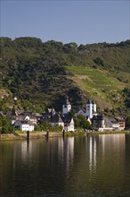 Moselle valley in the morning light
