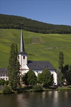 Village of Piesport with the Parish Church surrounded by vineyards