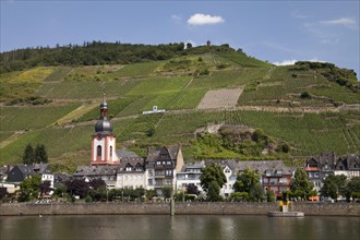 Townscape of Zell and the vineyard 'Zeller Schwarze Katz'