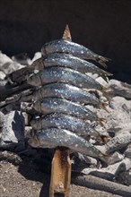 Stockfish being grilled over an open fire