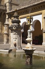 Fountain in the courtyard of the Mezquita