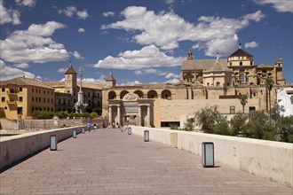 The Roman bridge and the Mosqueâ€“Cathedral of Cordoba