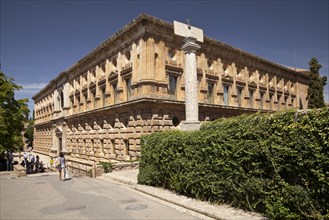 Palacio de Carlos palace