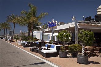 Restaurant and palm trees on the promenade
