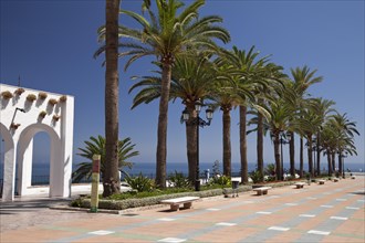 Palm trees along the promenade to the observation deck of Balcon de Europa