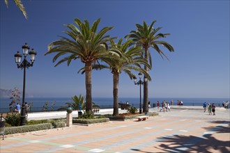 Palm trees along the promenade to the observation deck of Balcon de Europa