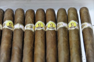Bolivar cigars in a tobacco shop