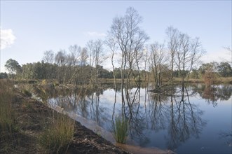 Rehydration of former wetlands