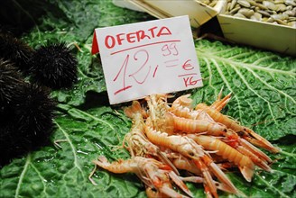 Shrimps on sale in the covered market