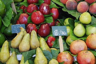 Fruit stand