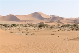 Dune landscape at Sossusvlei