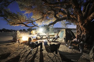 Camping under an Acacia tree