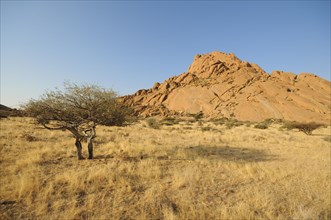 Savannah landscape with granite rocks of Pontok Mountains