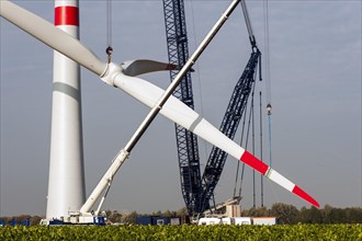 Rotor blades of a wind turbine hanging on a crane