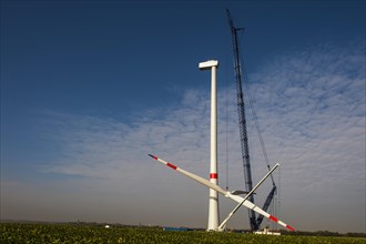 Mounting the rotor on a new wind turbine