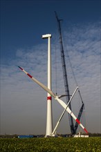 Crane lifting the rotor blades of a new wind turbine