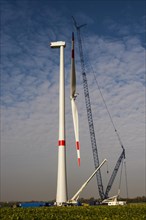 Rotor blades suspended from a crane