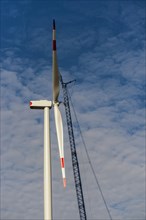 Rotor blades of a wind turbine in front of the generator nacelle
