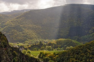 Ahr Valley between Mayschoß in the autumn