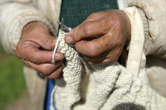 Hands of a knitting old woman