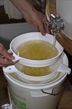 After the honey has been spun from the comb its filtered through two filters into the storage drum to remove any unwanted debris