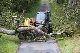 Mature tree fallen across road during storm being moved by farmer with loader