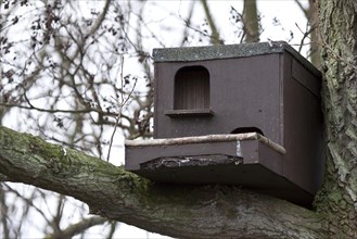 Bird nesting box suitable for Barn Owl or Kestrel