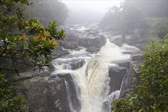 View of waterfall in rainforest