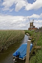 Cley Windmill and the surrounding reedbeds