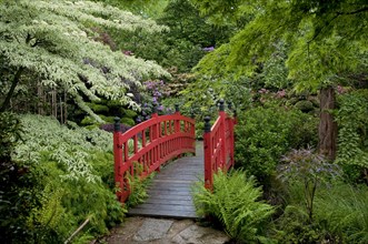 Japanese style garden with bridge