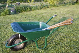 Wheelbarrow with spade and fork on garden lawn