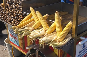 Corncobs and chestnuts