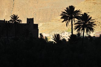 Silhouette of Ksar and palm trees