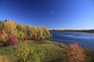 Autumnal trees along Richelieu River