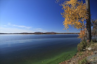 View on Lake Brome