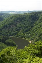 One arm of the big loop of the Saar river near Mettlach