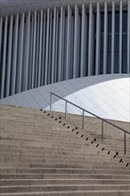 Steps in front of the Philharmonie