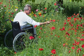 Man sitting in a wheelchair and reaching his hand out towards a poppy flower