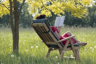 Young woman sitting and reading a book in a garden chair under a deciduous tree