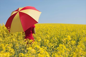 Rear view of a young woman holding a red and yellow umbrella in a blooming canola field