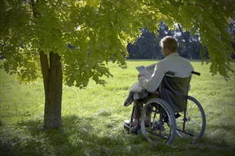 Elderly man sitting and reading a book in a wheelchair under a deciduous tree